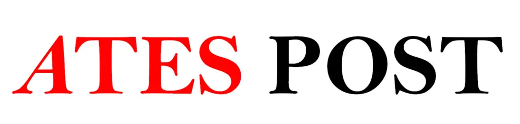 Guidelines For Guest Post Services