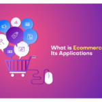 What is the Role of Software Application in E-Commerce