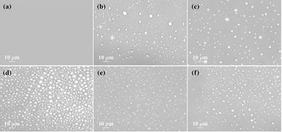 Microscopic image of Lys under different conditions