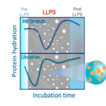 detection of neuro-degenerative diseases