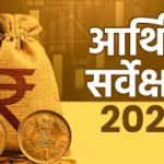 summary-of-economic-survey