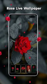rose live wallpaper
