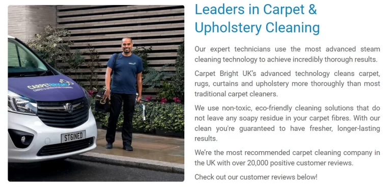 Unveiling the Technical Advantages of Professional Carpet Cleaning Services
