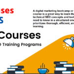 seo training course online free