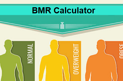 bmr calculator