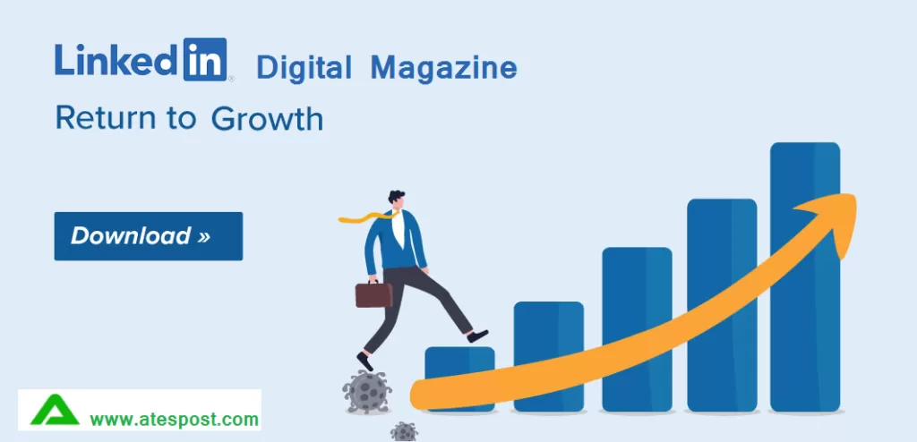 Download New Published LinkedIn Digital Magazine Tips to Business Growth