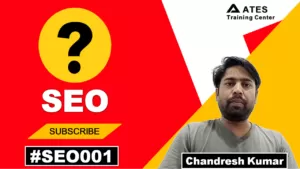 seo stands for