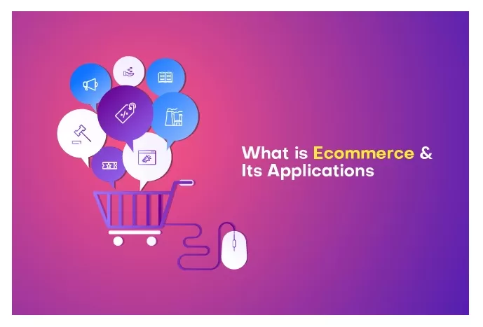 What is the Role of Software Application in E-Commerce