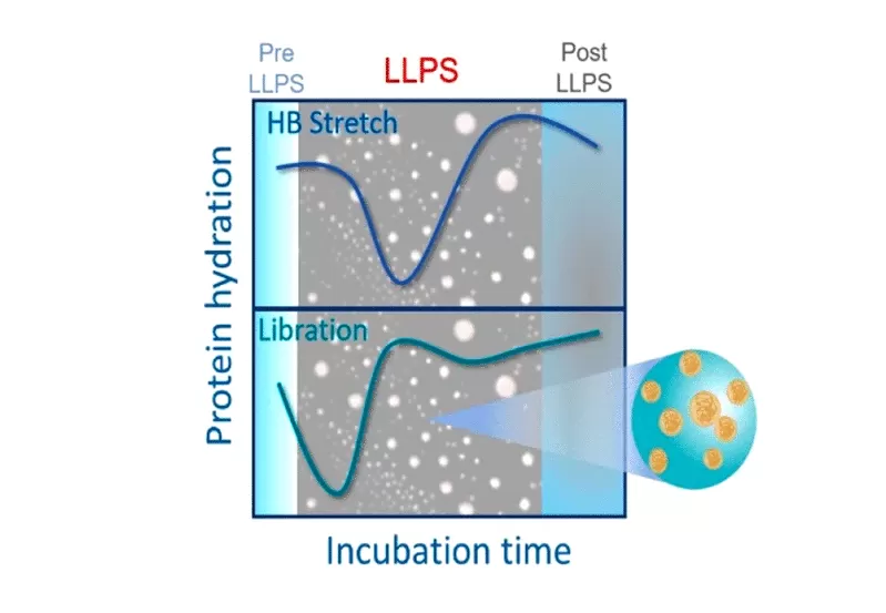 detection of neuro-degenerative diseases