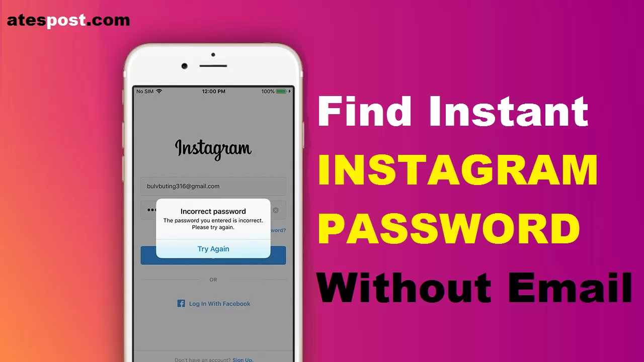 how to find instagram password without email