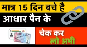 check-online-aadhaar-pan-link-status