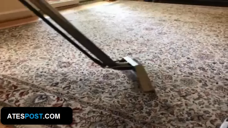The Top Advantages of Professional Carpet Cleaning Services