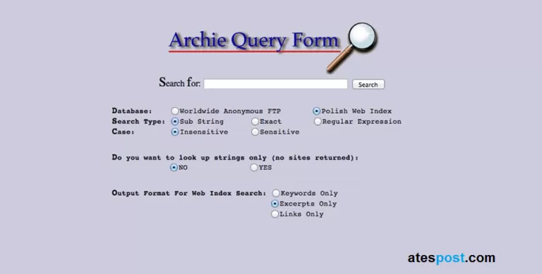 The Very First Search Engine In The World