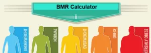 bmr calculator