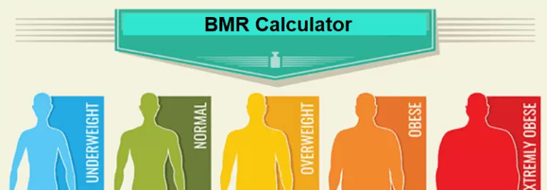 How BMR Calculator (Calculate Your BMR) Works?